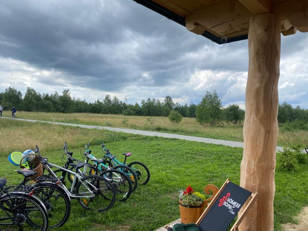 Goralskie Domki U Topora Czarny Dunajec Exterior photo
